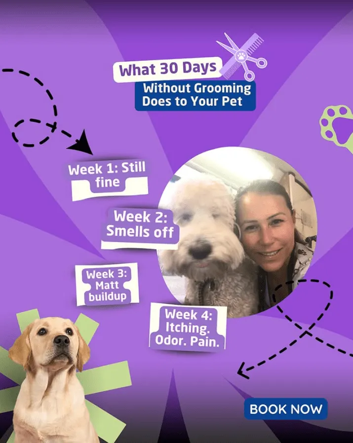 Graphic Designed Post