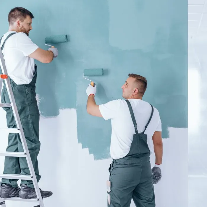 SkyLine Professional Painting preview